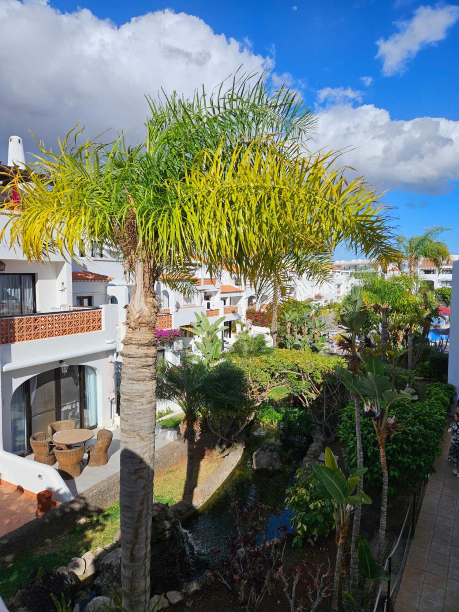 Ferienwohnung Sunny Oasis Amarilla Golf San Miguel de Abona Exterior foto